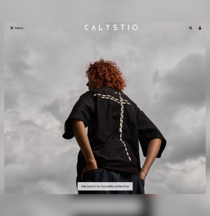 Capture d'écran du projet Supro