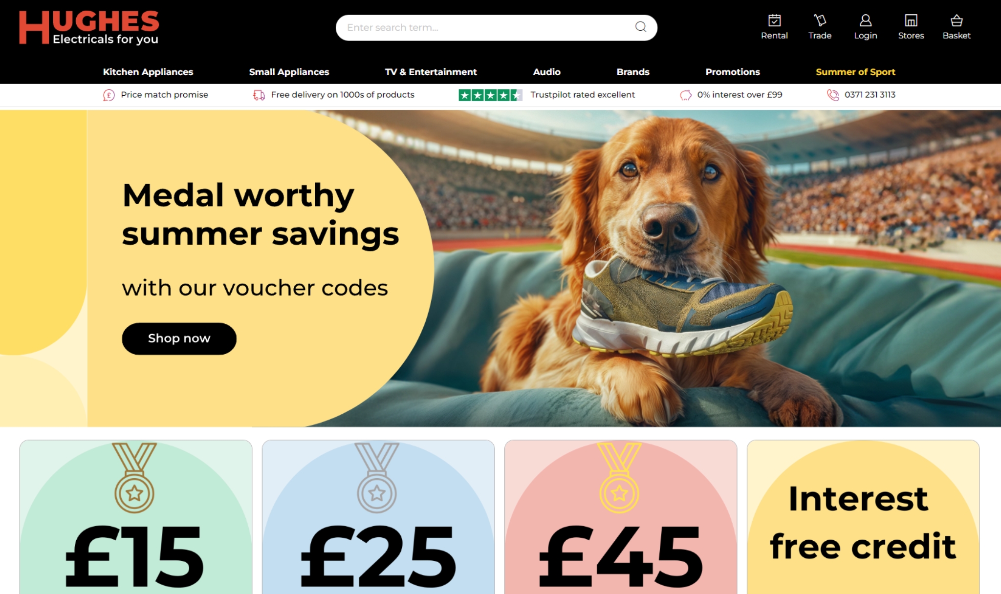 Capture d'écran d'un site web avec une interface utilisateur élégante créé par Sigar