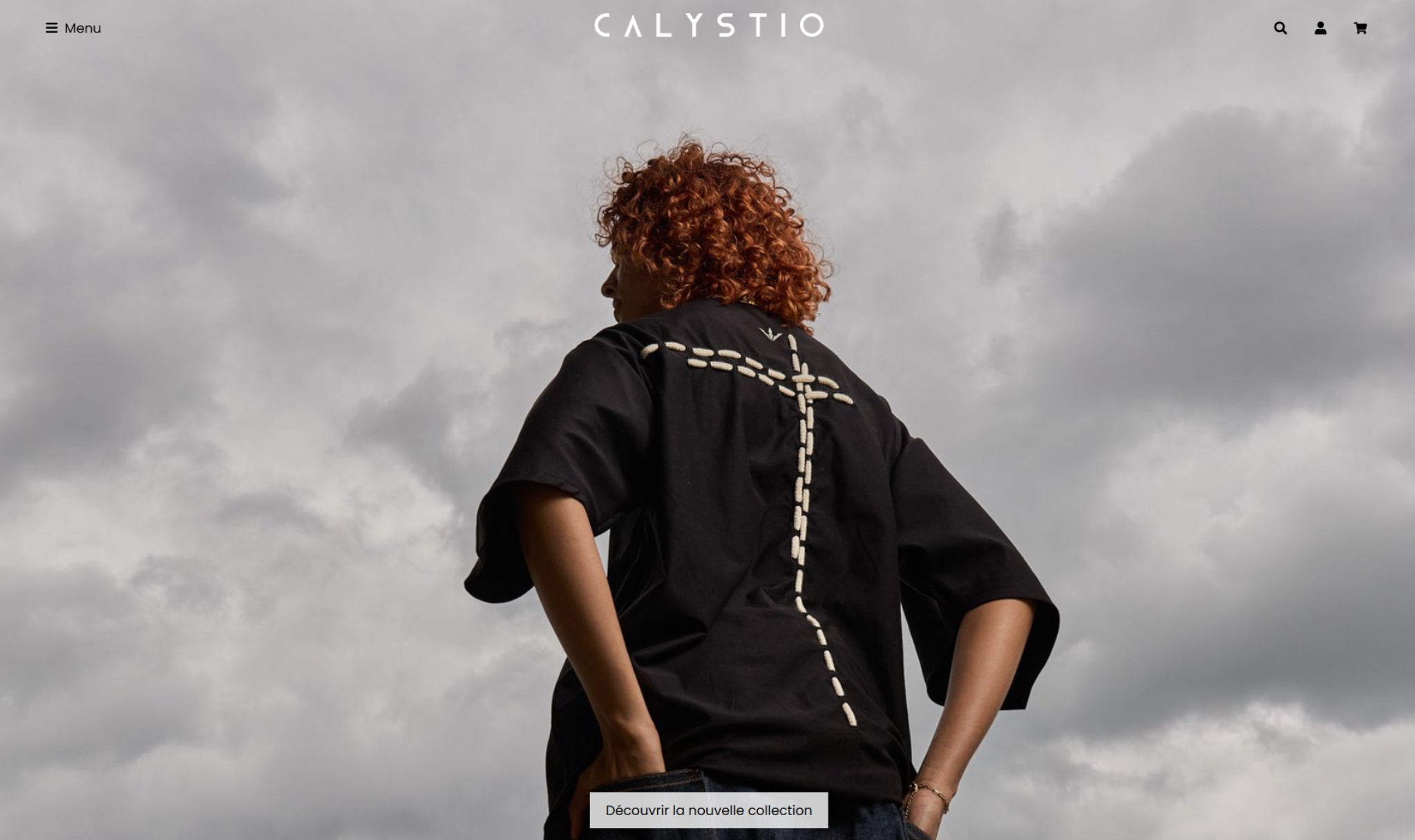 Capture d'écran d'un site web avec un design réactif développé par Sigar